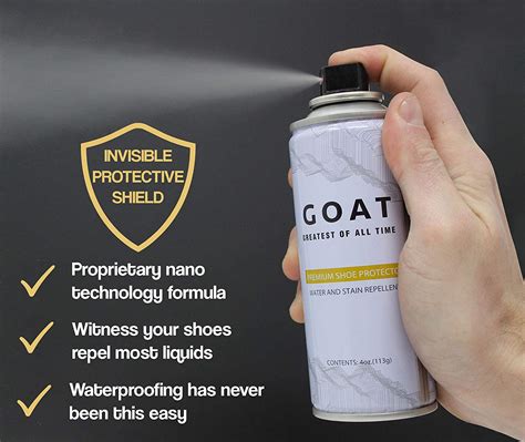 best shoe stain protector spray.